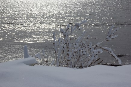 february-17-2017-sparkling-ocean-against-snow