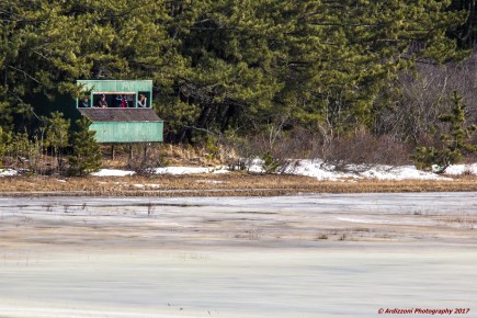 february-19-2017-checking-out-the-wild-life1