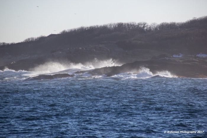 february-23-2017-february-spring-day-on-kettle-island
