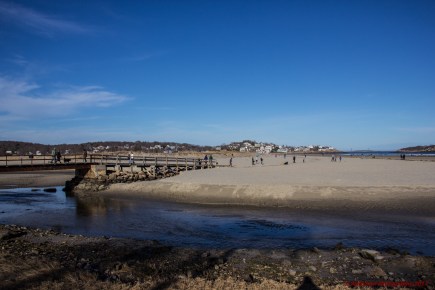 february-24-2017-february-24-or-may-24