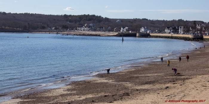 february-24-2017-sea-glass-hunting1