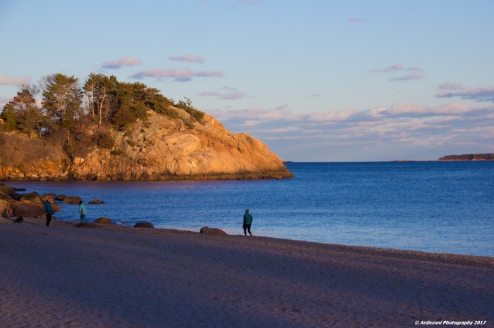 february-4-2017-nice-day-for-a-stroll-on-singing-beach1