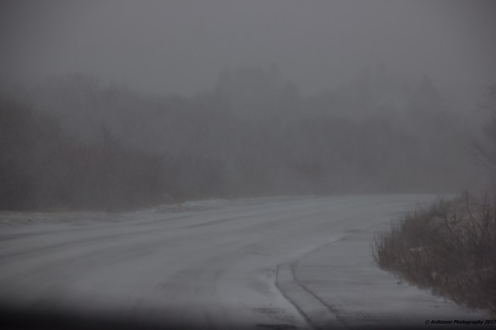 february-9-2017-white-out-conditions-on-the-back-shore