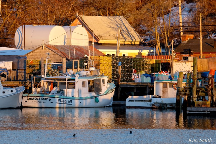 fv-amanda-and-andy-smiths-cove-gloucester-copyright-kim-smith