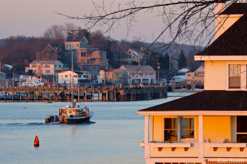 fv-black-pearl-heading-home-copyright-kim-smith