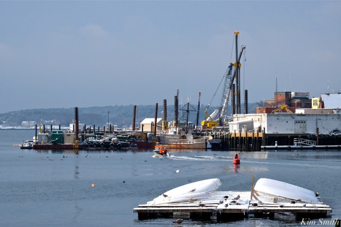 gloucester-harbor-snowy-day-2-copyright-kim-smith