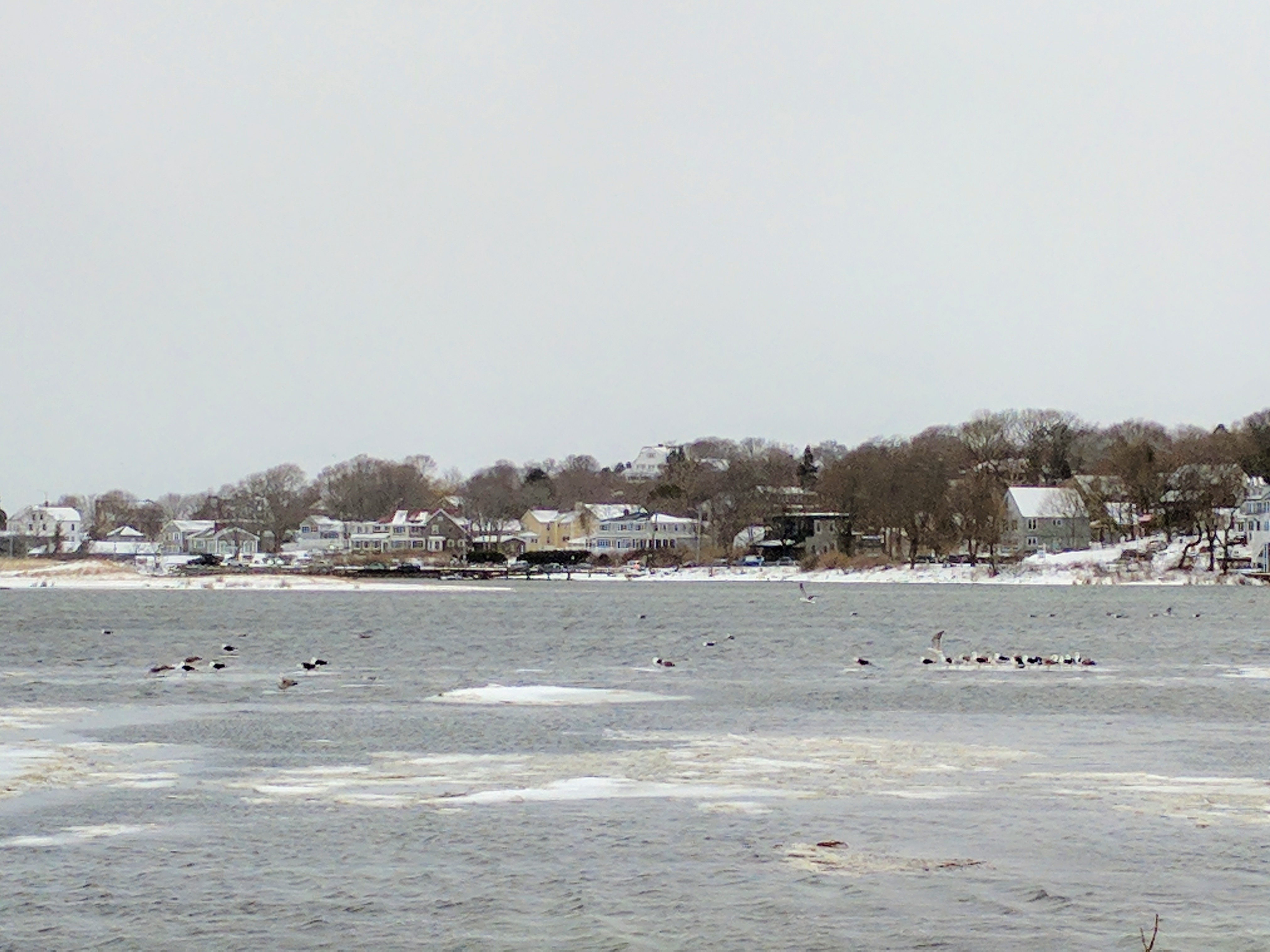 img_20170212_124009-2