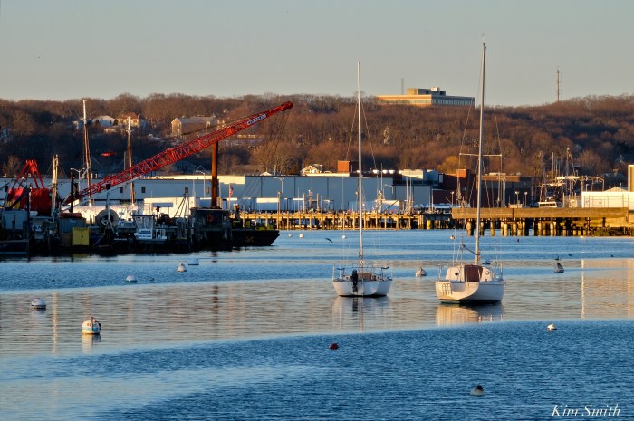 smith-cove-gloucester-2-copyright-kim-smith