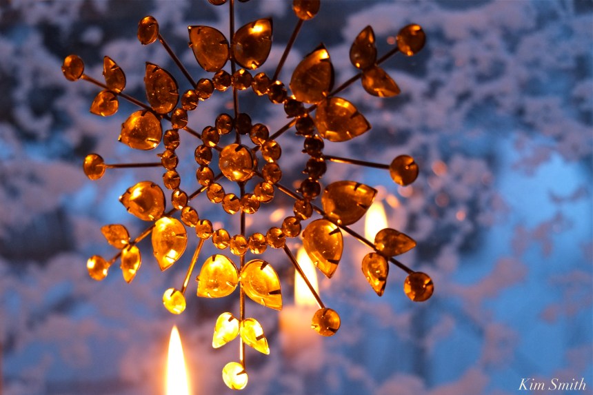 snow-flake-1-copyright-kim-smith