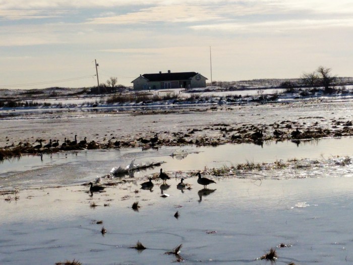 00003img_00003_burst20170110101924_cover