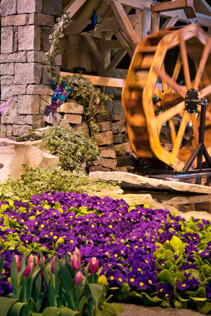 2015-flower-show-381