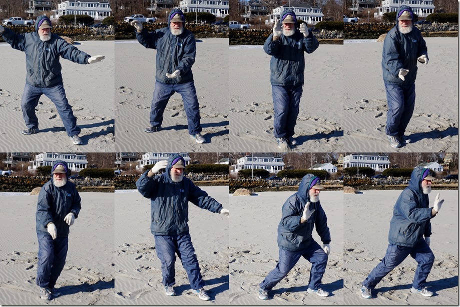 2017-03-06 tai chi 