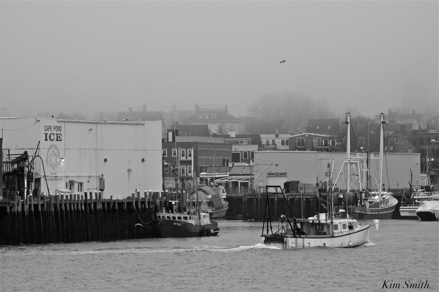 gloucester-harbor-cape-pond-ice-misty-morning-copyright-kim-smith