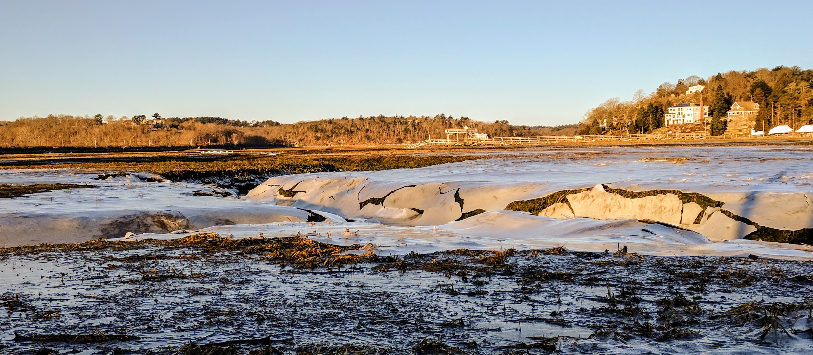 img_20170304_071109-1