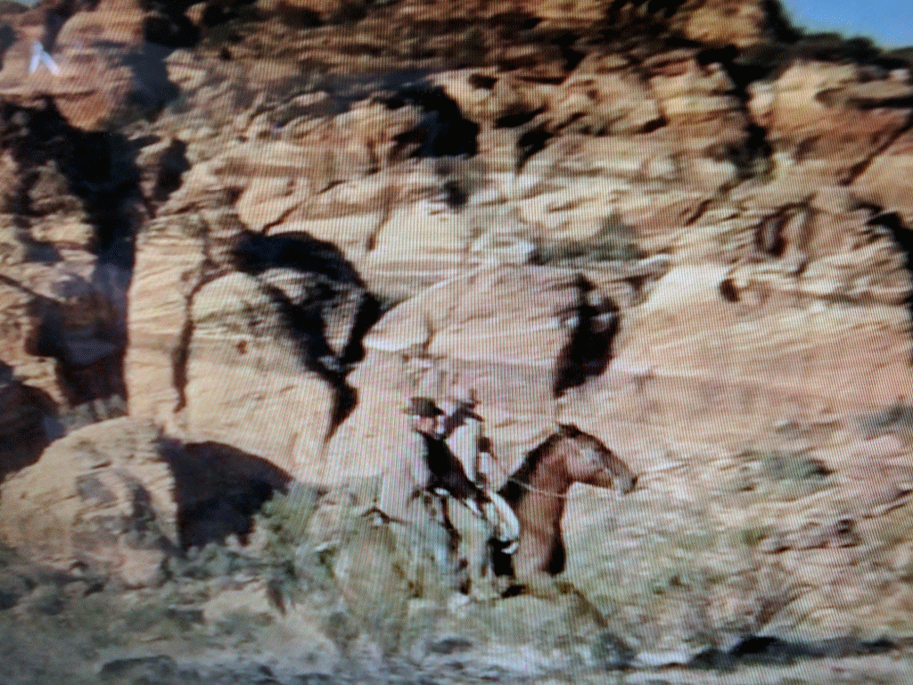 IMG_20170322_110327-ANIMATION