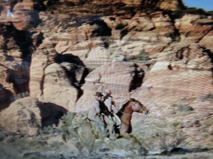 IMG_20170322_110327-ANIMATION