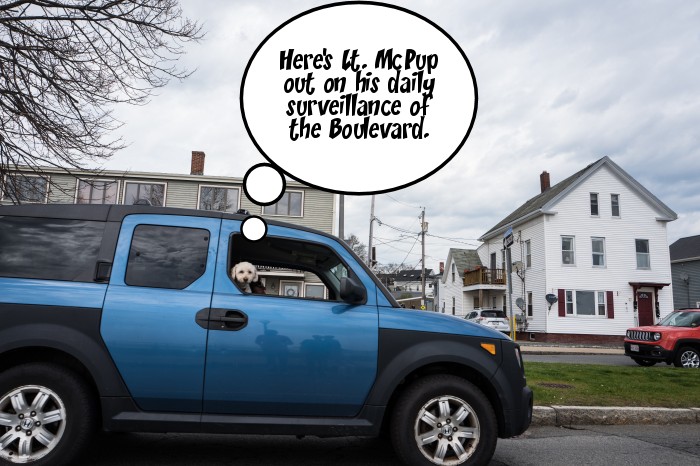 captioner595389e2f9c23d0e89cbfca64f381e9e9fbf55b7