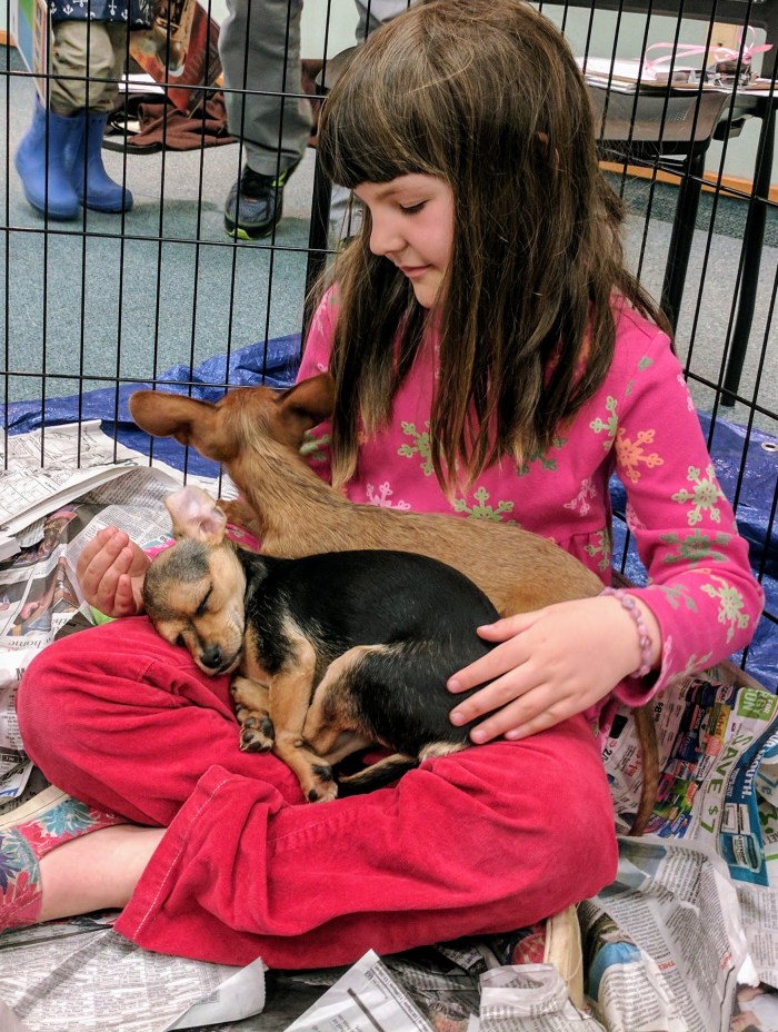 IMG_20170422_125831 (1)