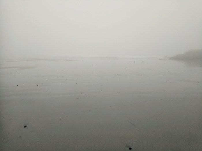 IMG_20170428_060428 (1)