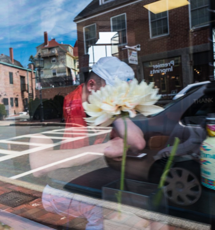 stop, reflect, smell the flowers