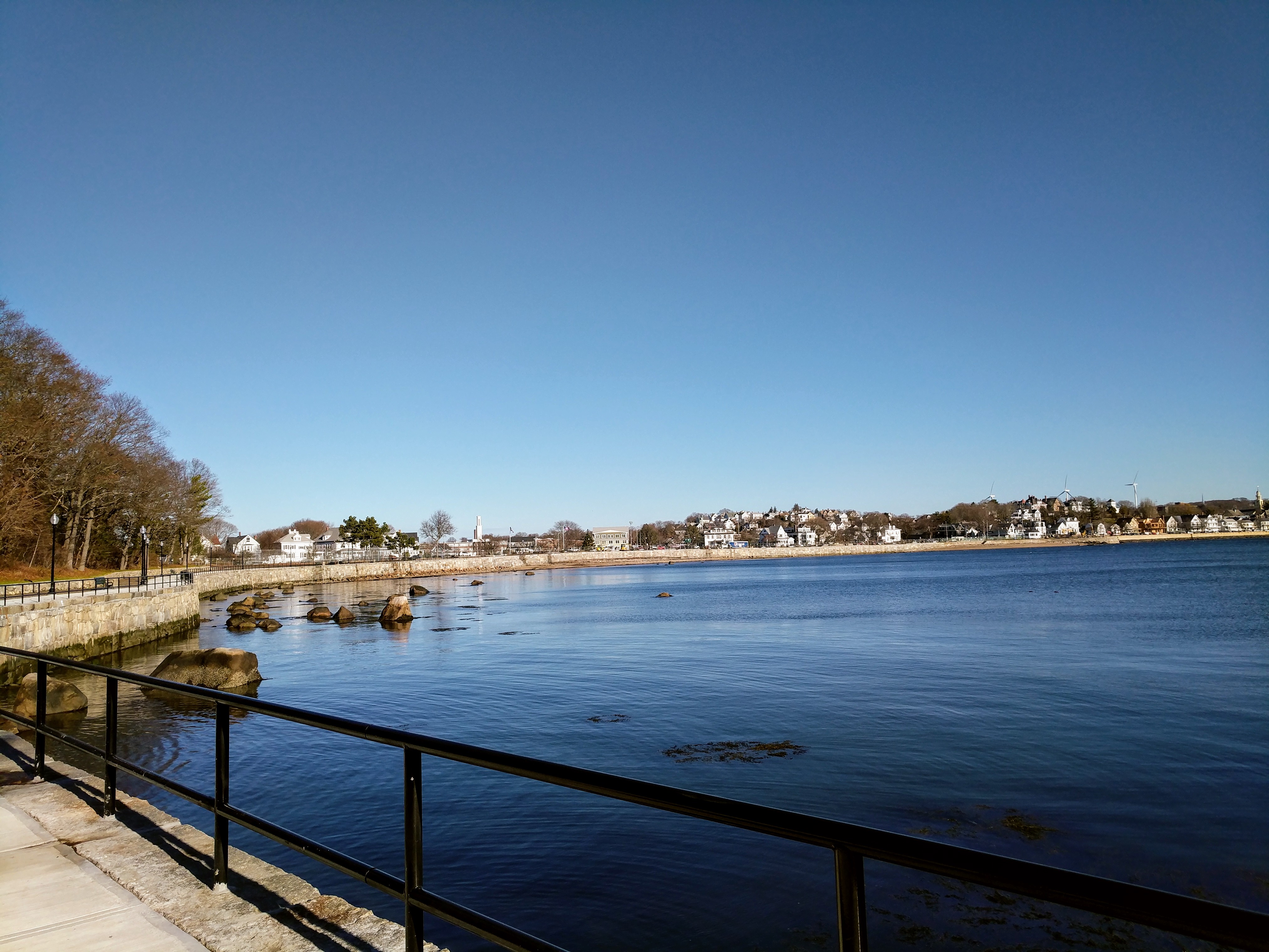 00000IMG_00000_BURST20161202094911_COVER