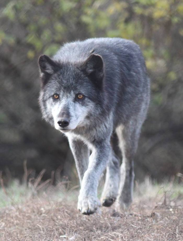 1458637_10202590576195570_297684799_n