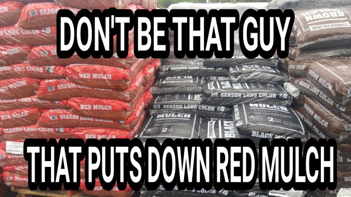 20170526_124851-picsay