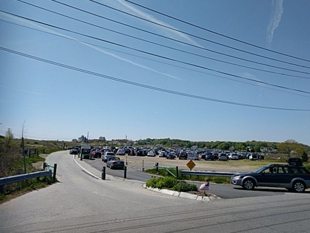 Burst_Cover_GIF_Action_20170518110804