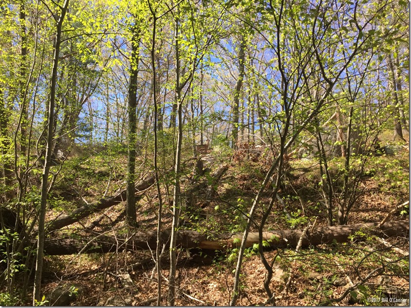 Hiding_in_Plain_Sight