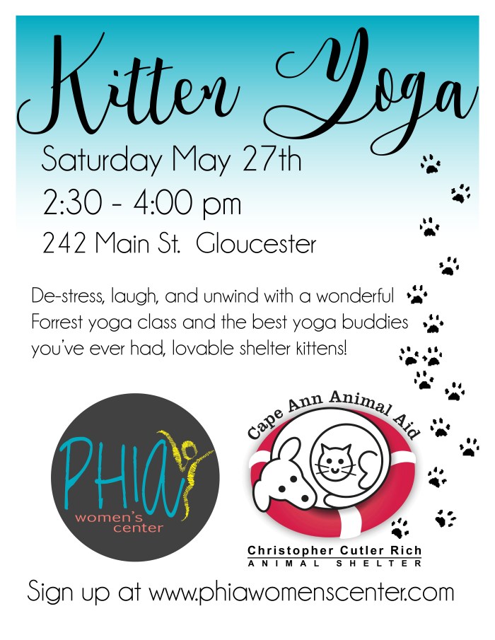 Kitten Yoga Flyer