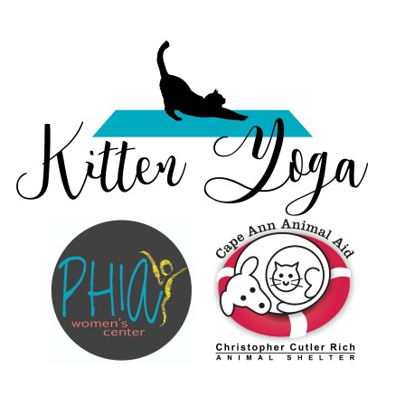 Kitten Yoga Graphic
