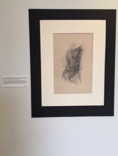 Leon Doucette male torso