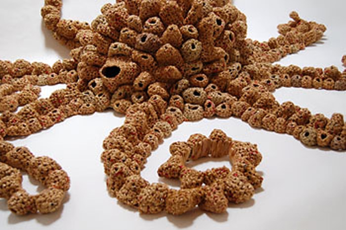 Michelle Lougee-detail-octoplas.jpg