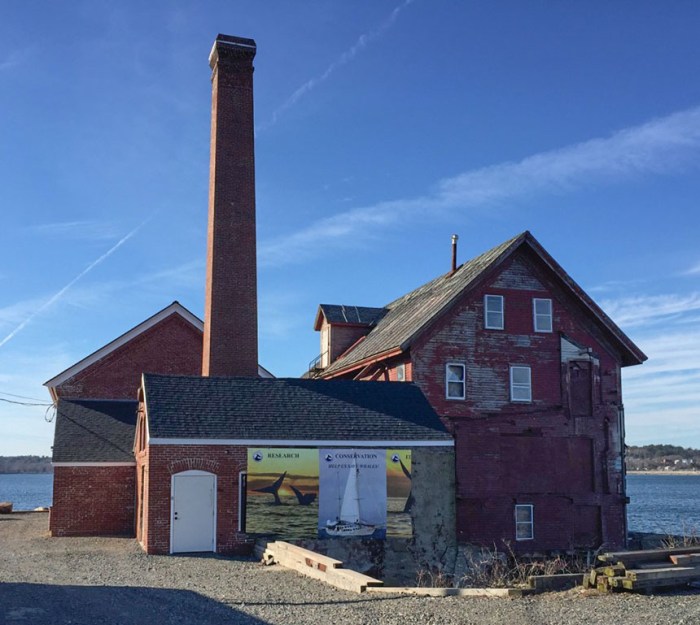 2017-ocean-alliance-building-1