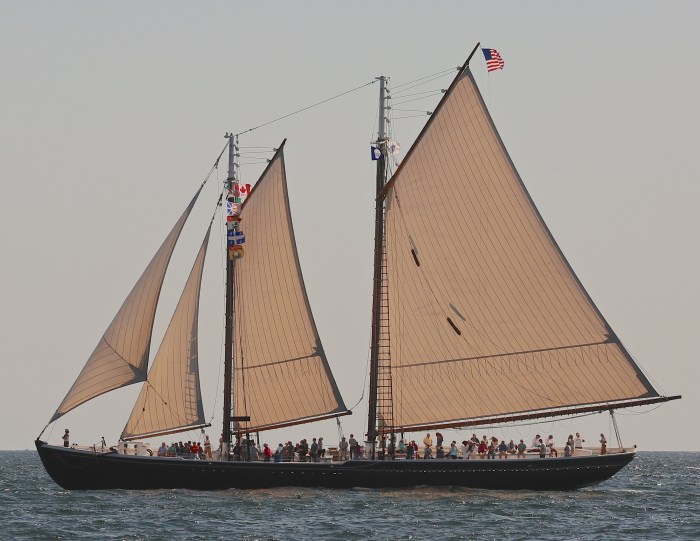 Adventure Under Sail 6246 (2)