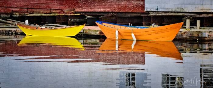 BLM_9786-Edit-Edit-Edit