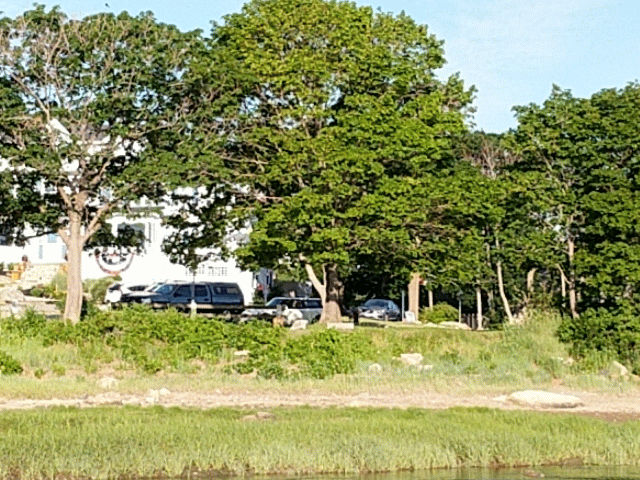 Burst_Cover_GIF_Action_20170704065604 (1)