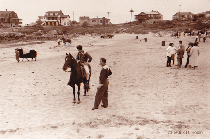 Fredrik D. Bodin Long Beach