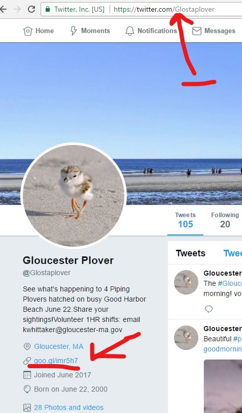 #Glostaplover Twitter home page help.jpg