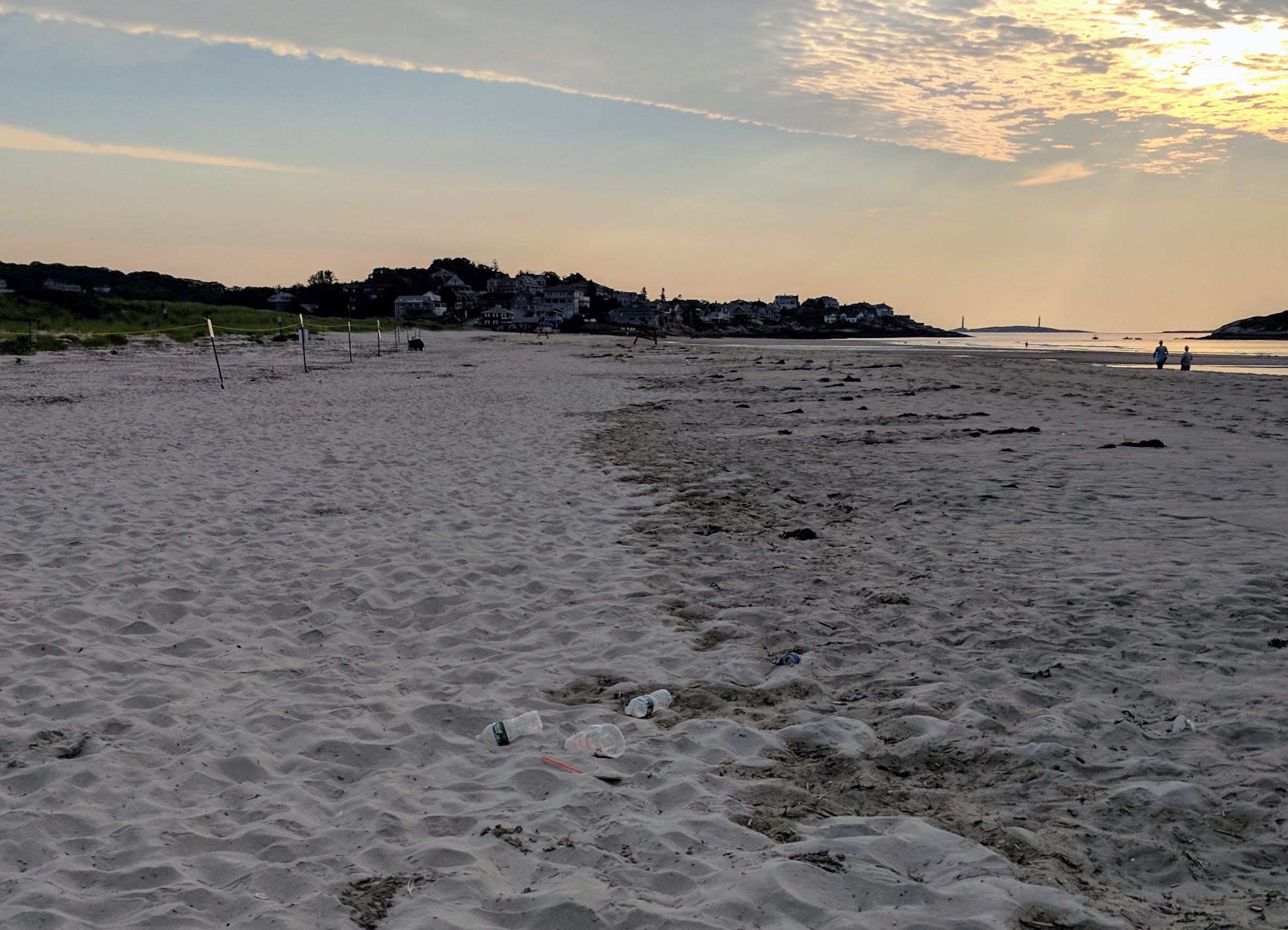 IMG_20170722_063529 (2)