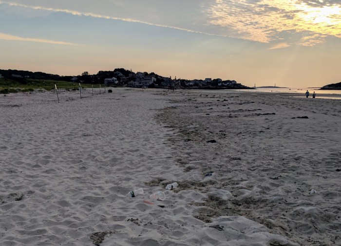 IMG_20170722_063529 (2)