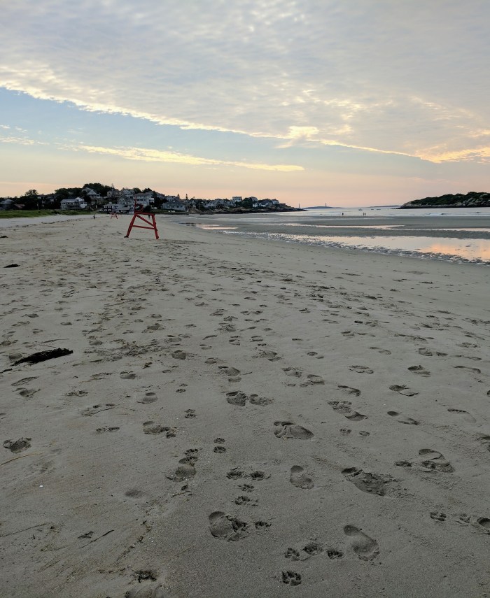 IMG_20170722_065957 (2)