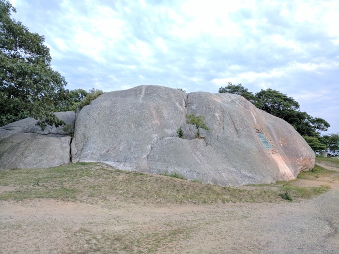 IMG_20170723_201439 (1)