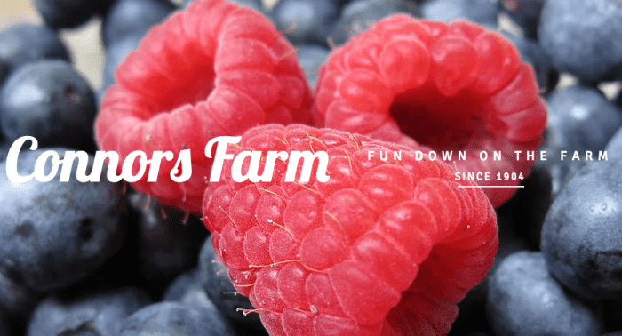 Screen Shot 2017-07-19 at 11.25.54 PM