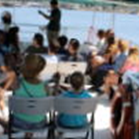 View album View album