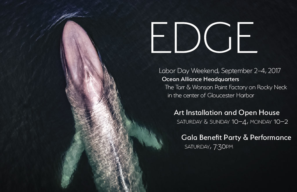 EDGE Art Installation.jpg