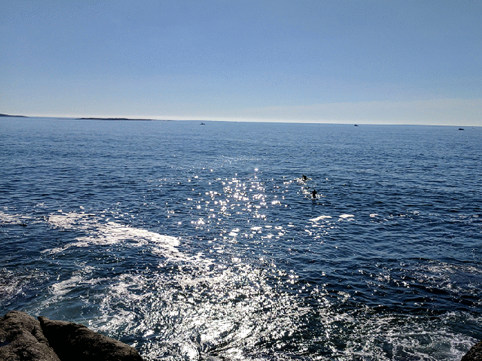 seriously beautiful day for SUP stand up paddle board IMG_20170809_082558