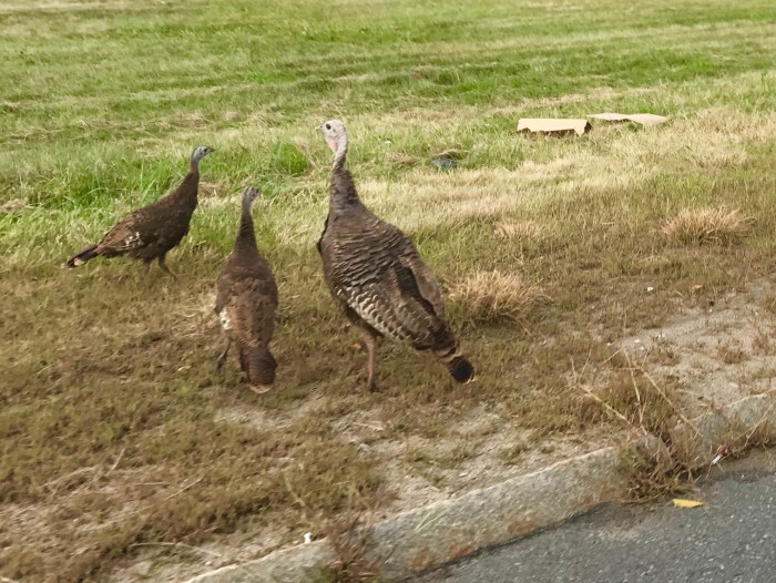 FullSizeRender 2.jpg