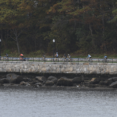 View album View album