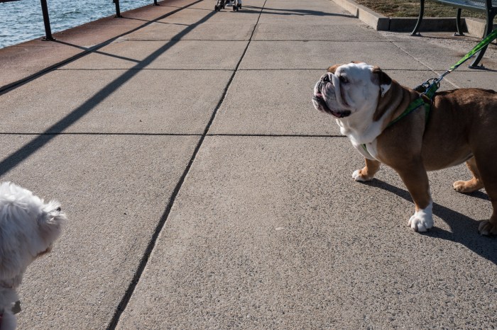 Discretion is the better part of valor